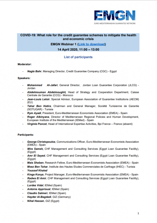 COVID-19: What role for the credit guarantee schemes to mitigate the health and economic crisis